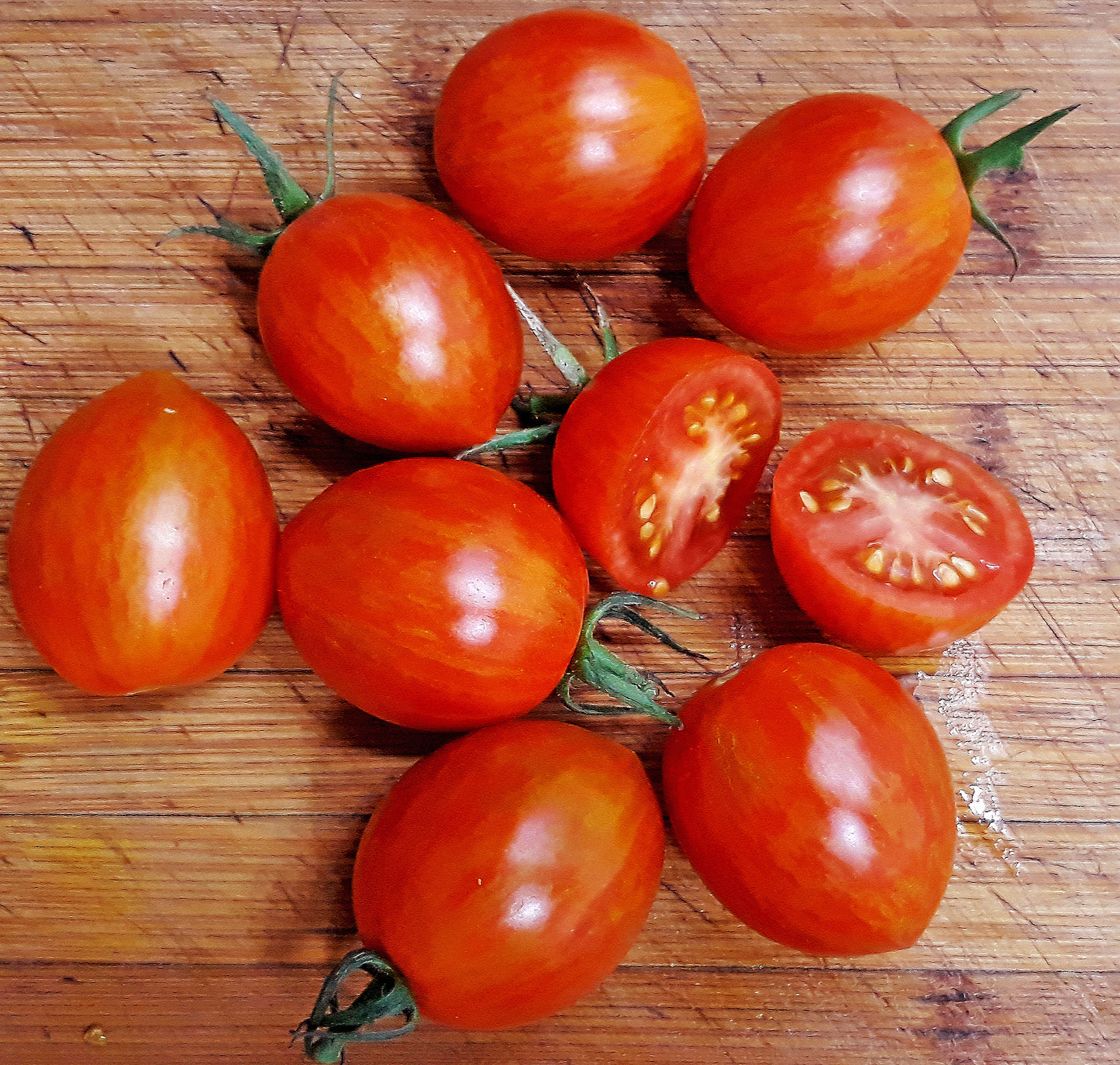 Mystery Tomato Medley #2- Pack of 25 seeds- five varieties blended together