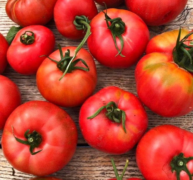Amalfi Pink - F1 hybrid tomato seeds - Pack of 25 seeds
