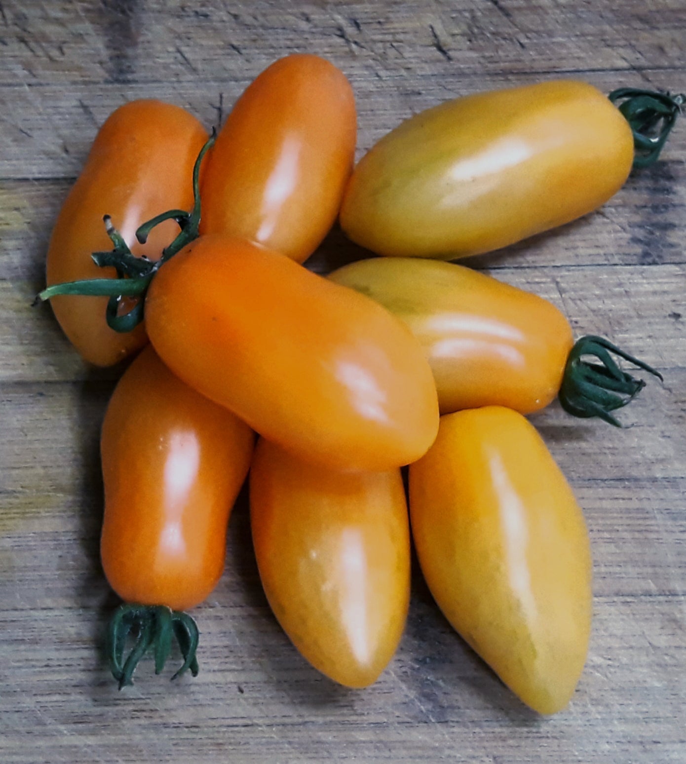 Creamsicle Grape - OP tomato seeds- Pack of 25 seeds