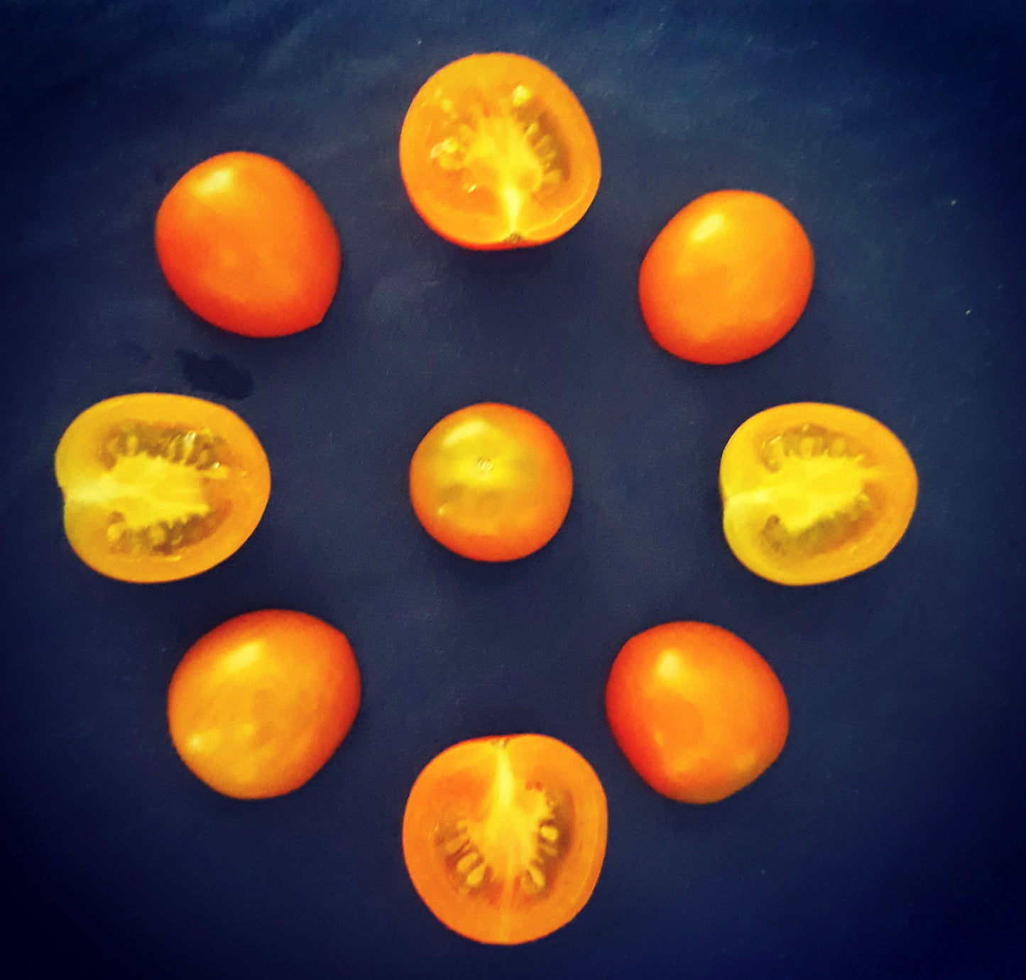 Golden Cherrywine - F1 hybrid tomato seeds- Pack of 25 seeds