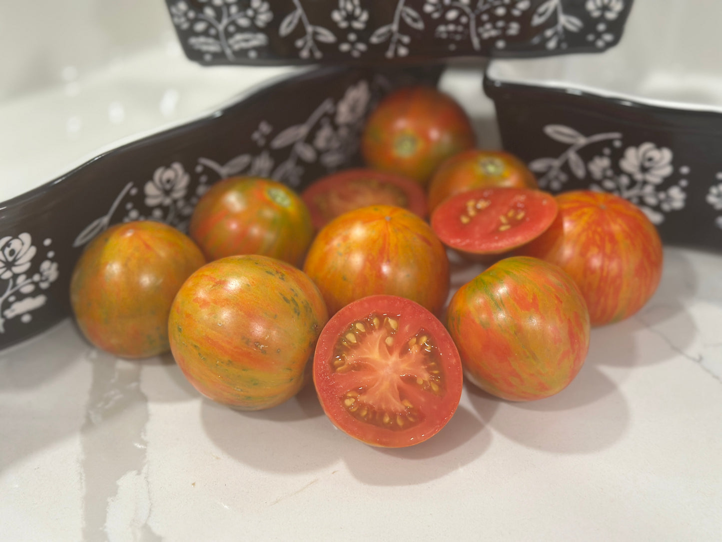 Minivento- F1 Hybrid- Pack of 25 seeds