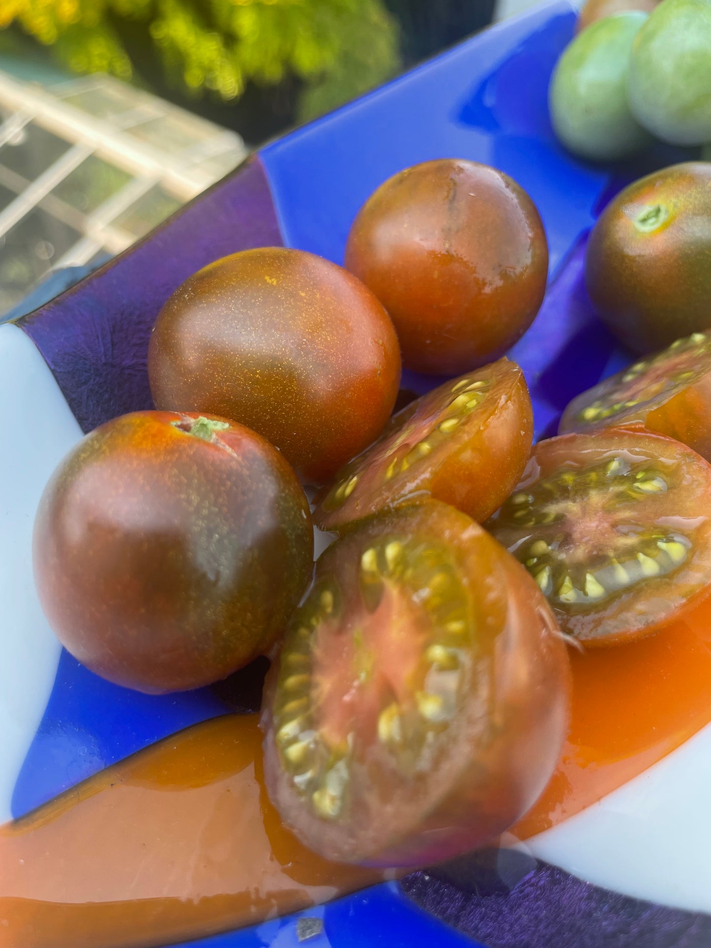 Cinnamon Girl - OP tomato seeds- Pack of 25 seeds