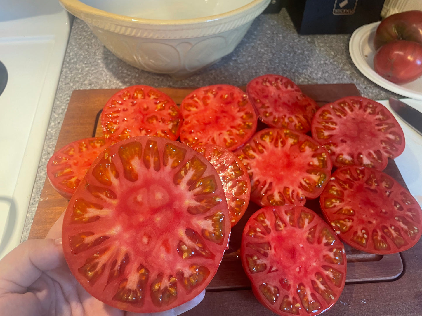 Oh Canada-  OP tomato seeds- Pack of 25 seeds