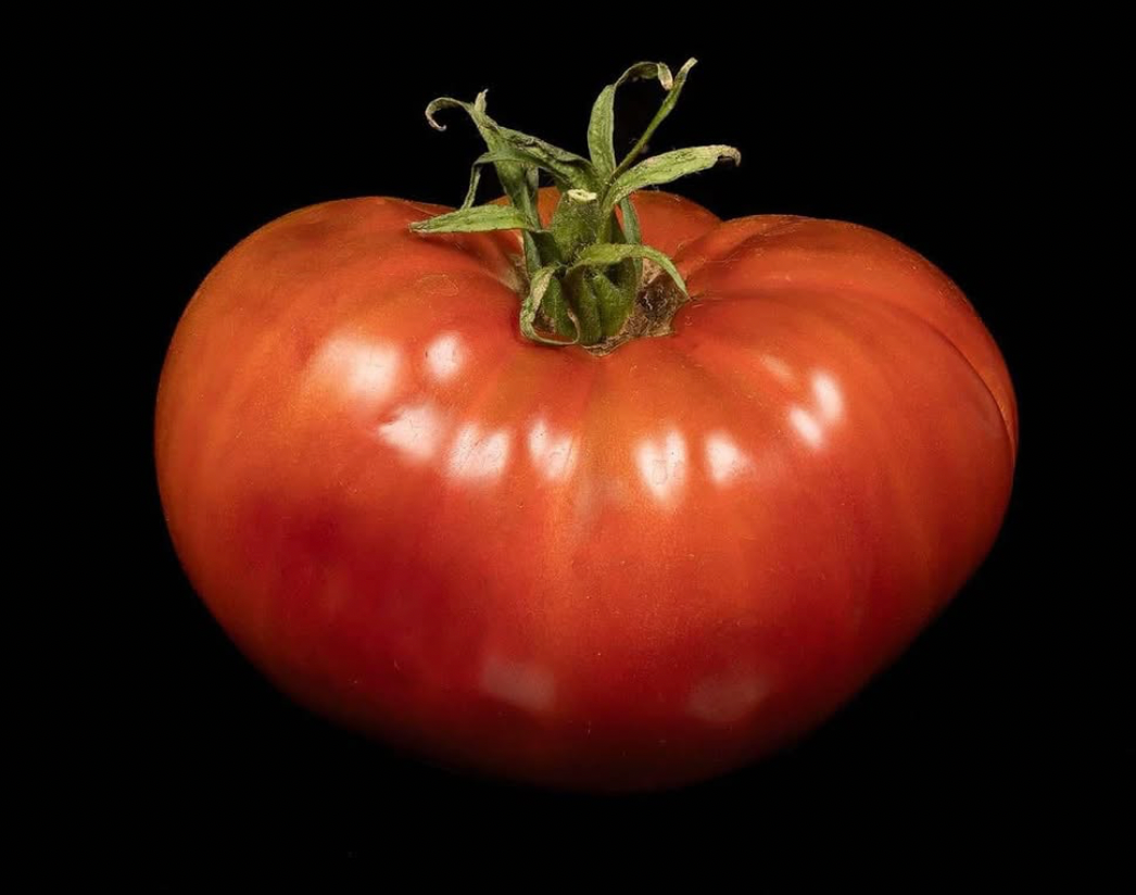 Bloodstone- OP tomato seeds- Pack of 25 seeds