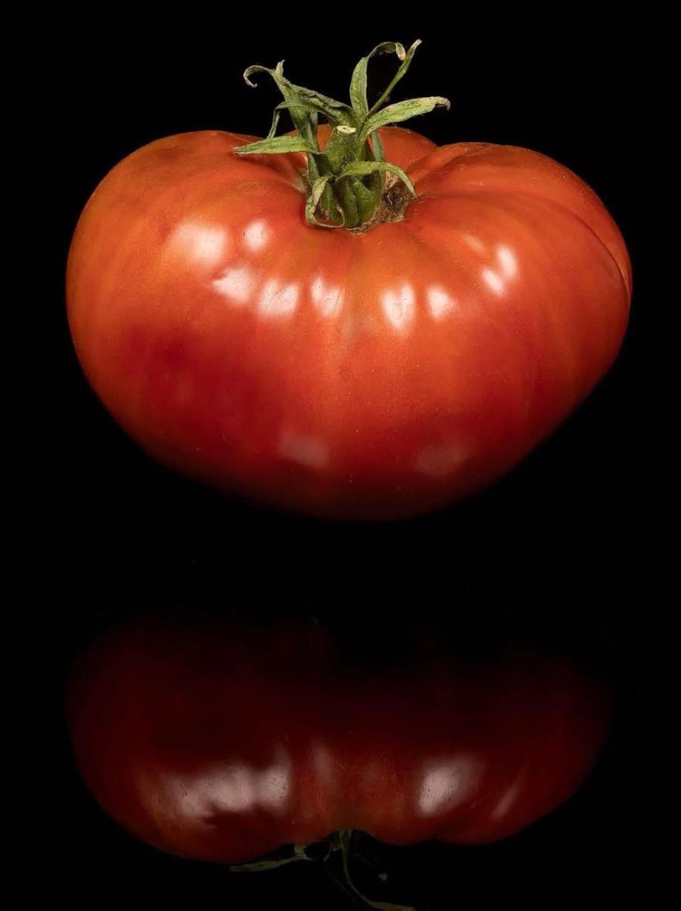 Bloodstone- OP tomato seeds- Pack of 25 seeds