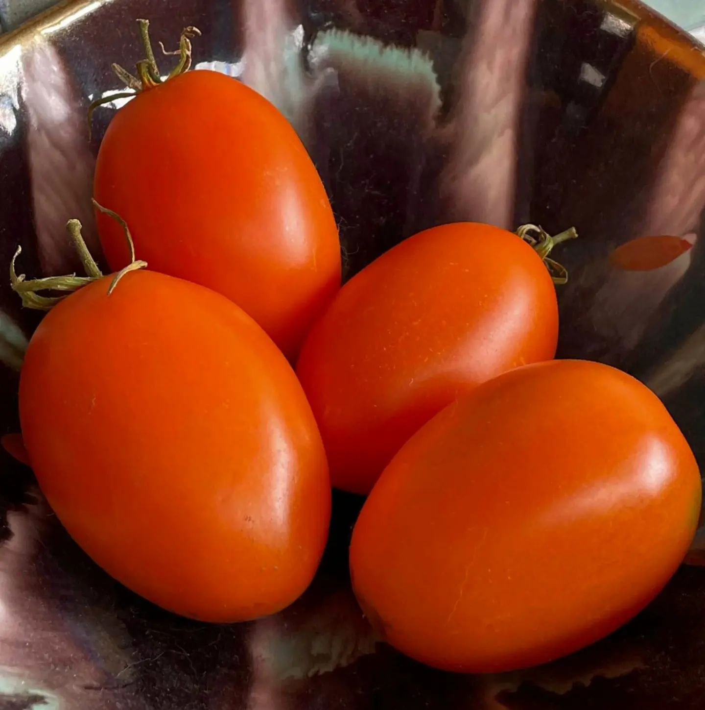 Orange Caprese - OP tomato seeds - Pack of 25 seeds