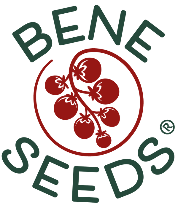 Bene Seeds