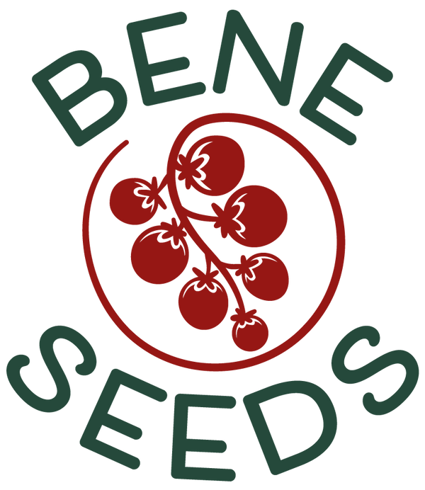 Bene Seeds
