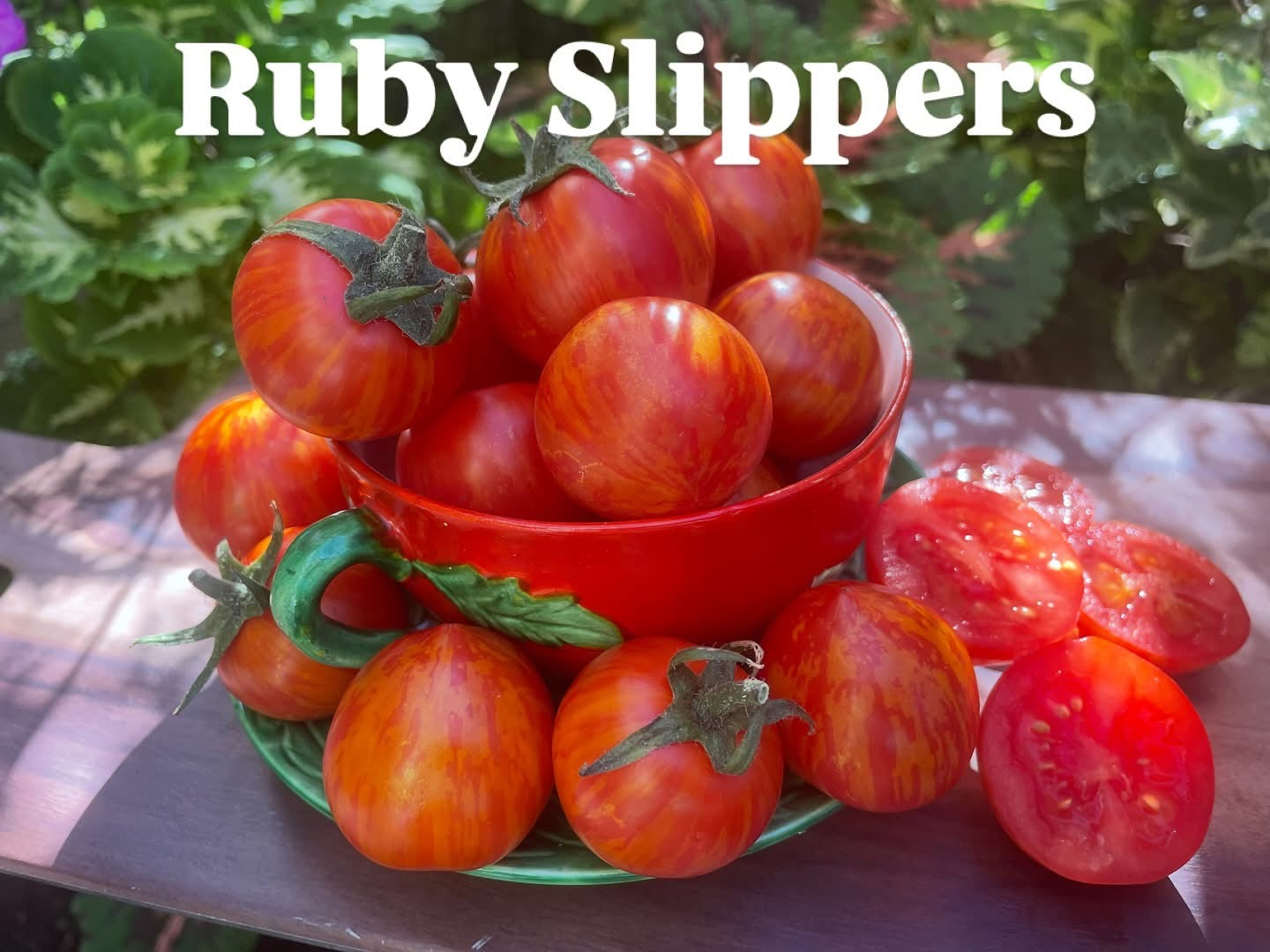 Ruby Slippers- OP tomato seeds- Pack of 25 seeds