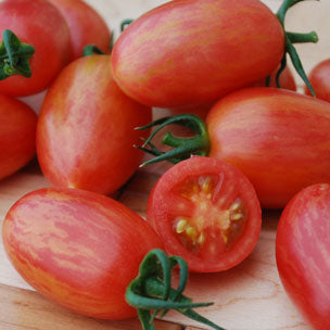 Maglia Rosa- OP tomato seeds- Pack of 25 seeds