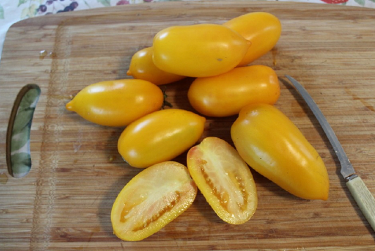 Golden San Marzano - OP tomato seeds- Pack of 25 seeds