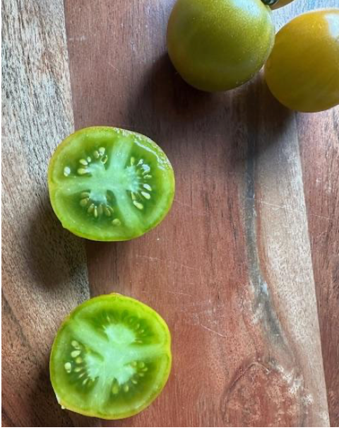 Sweet Baby Jade- OP tomato seeds- Pack of 25 seeds