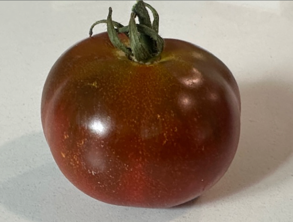 Twister- OP tomato seeds- Pack of 25 seeds