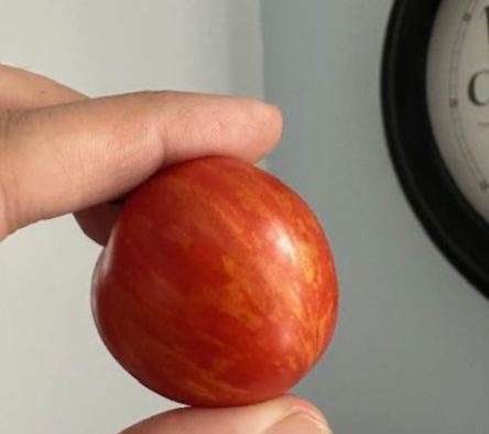 Ruby Slippers- OP tomato seeds- Pack of 25 seeds