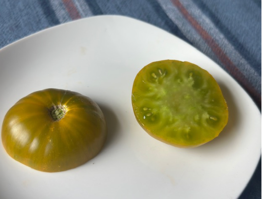 Emerald City- OP tomato seeds- Pack of 25 seeds