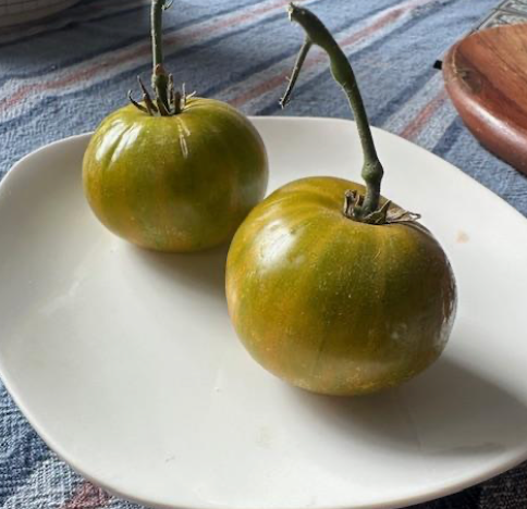 Emerald City- OP tomato seeds- Pack of 25 seeds